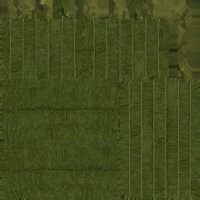 Asset preview